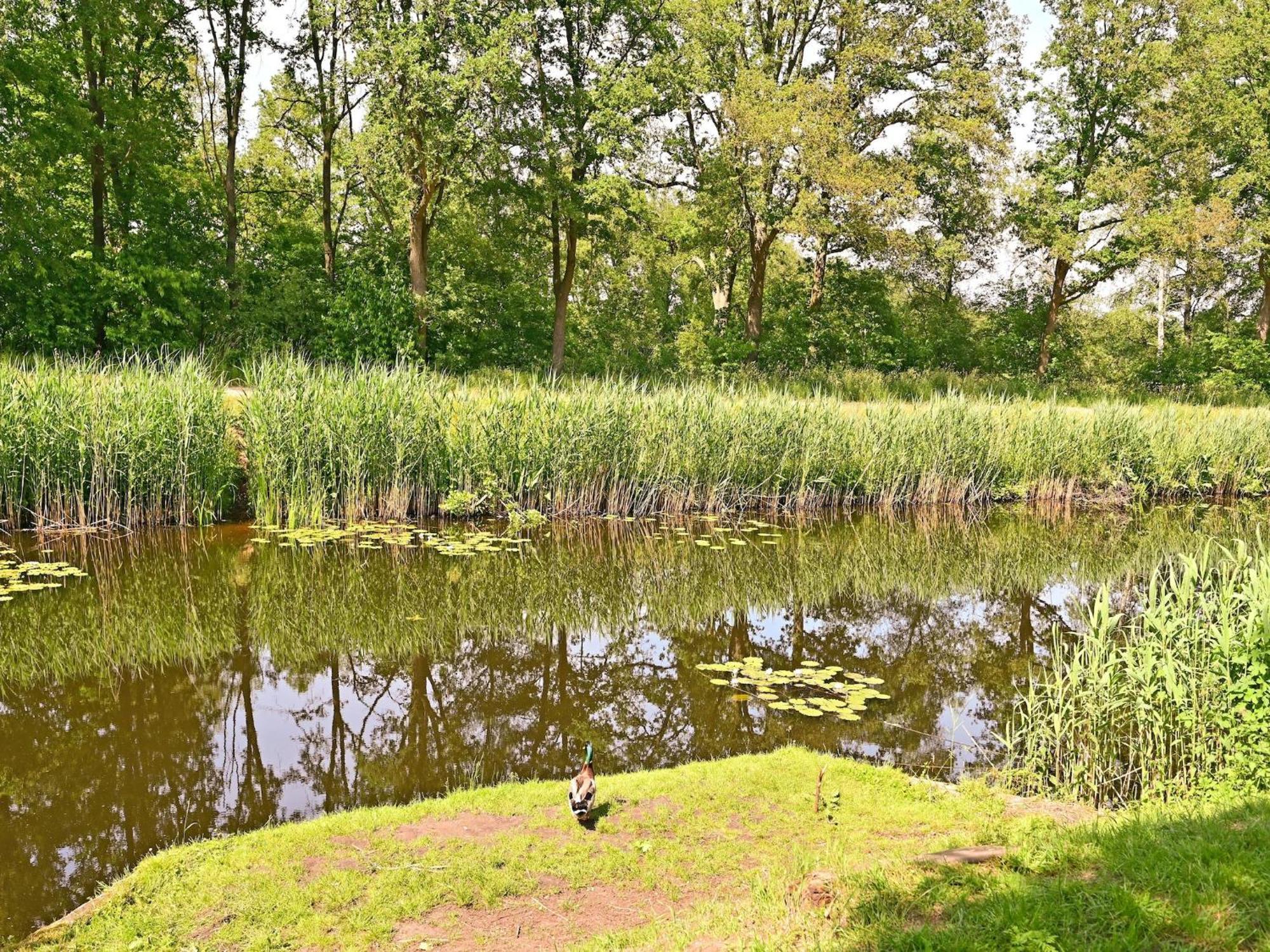 Chalet With Gorgeous View Of The Natural Surroundings Weerselo Esterno foto